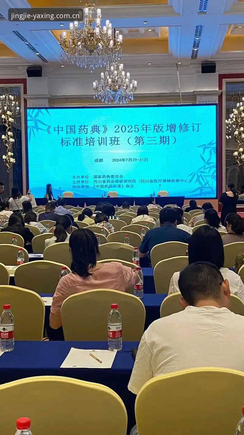 亚星中国CN版本升级逻辑全面解析：从2024到2025的底层思考